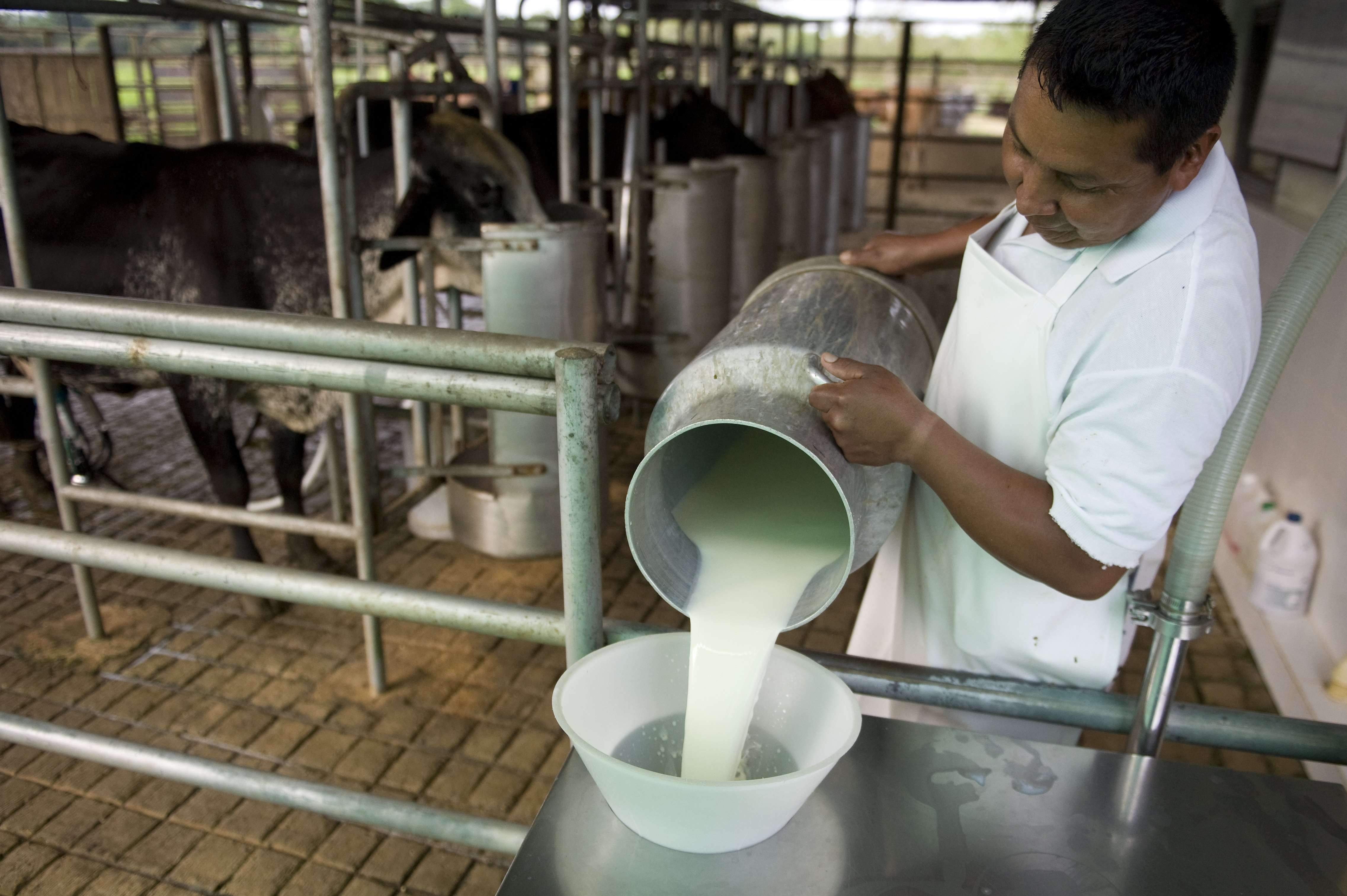 Decálogo Liconsa para la transparencia 
en la compra de leche
