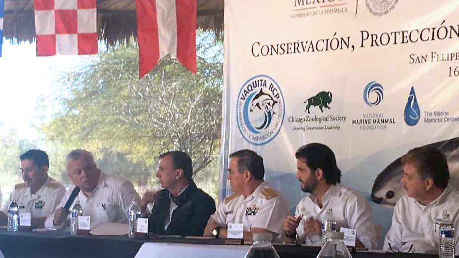 Detalló el Comisionado Mario Aguilar que los permisos de pesca se otorgan por parte de la CONAPESCA y la Manifestación de Impacto Ambiental se obtiene a través de la SEMARNAT.