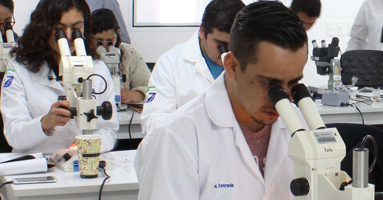 El SENASICA, capacitó a 25 técnicos del Centro Nacional de Referencia Fitosanitaria (CNRF) y de laboratorios privados del país