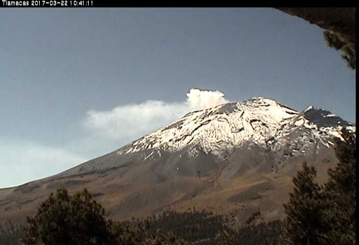 En las últimas 24 horas, por medio de los sistemas de monitoreo del volcán Popocatépetl, se identificaron 28 exhalaciones de baja intensidad.