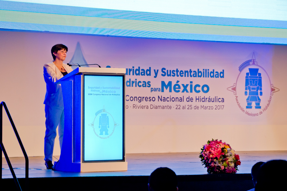Blanca Jiménez Cisneros, Directora de la División de Ciencias del Agua