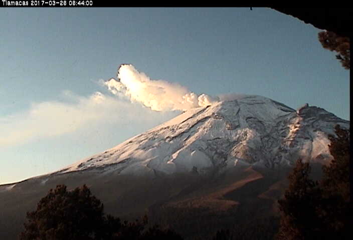 En las últimas 24 horas, por medio de los sistemas de monitoreo del volcán Popocatépetl, se identificaron 44 exhalaciones de baja intensidad.