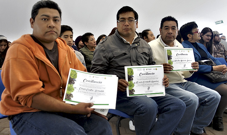 La delegación Milpa Alta es la campeona productora de nopales en el país, mientras que Xochimilco ocupa el primer lugar en el país, como productora de Flor de Nochebuena.