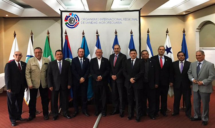 Propone México a países de Centroamérica trabajar juntos temas sanitarios