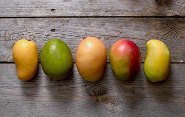 Mango: rey de las frutas tropicales