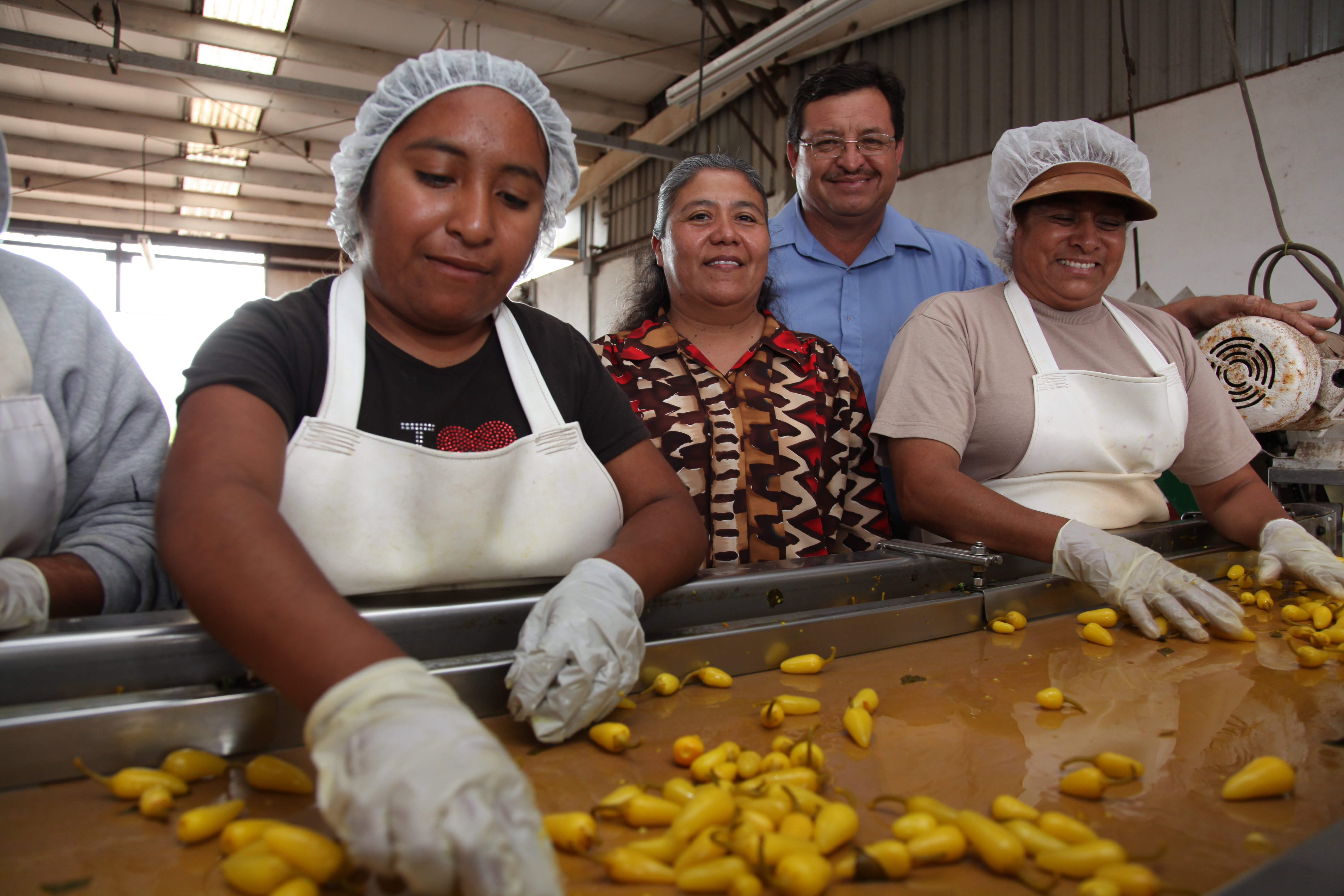 Empresarios sociales dedicados a la producción de chile