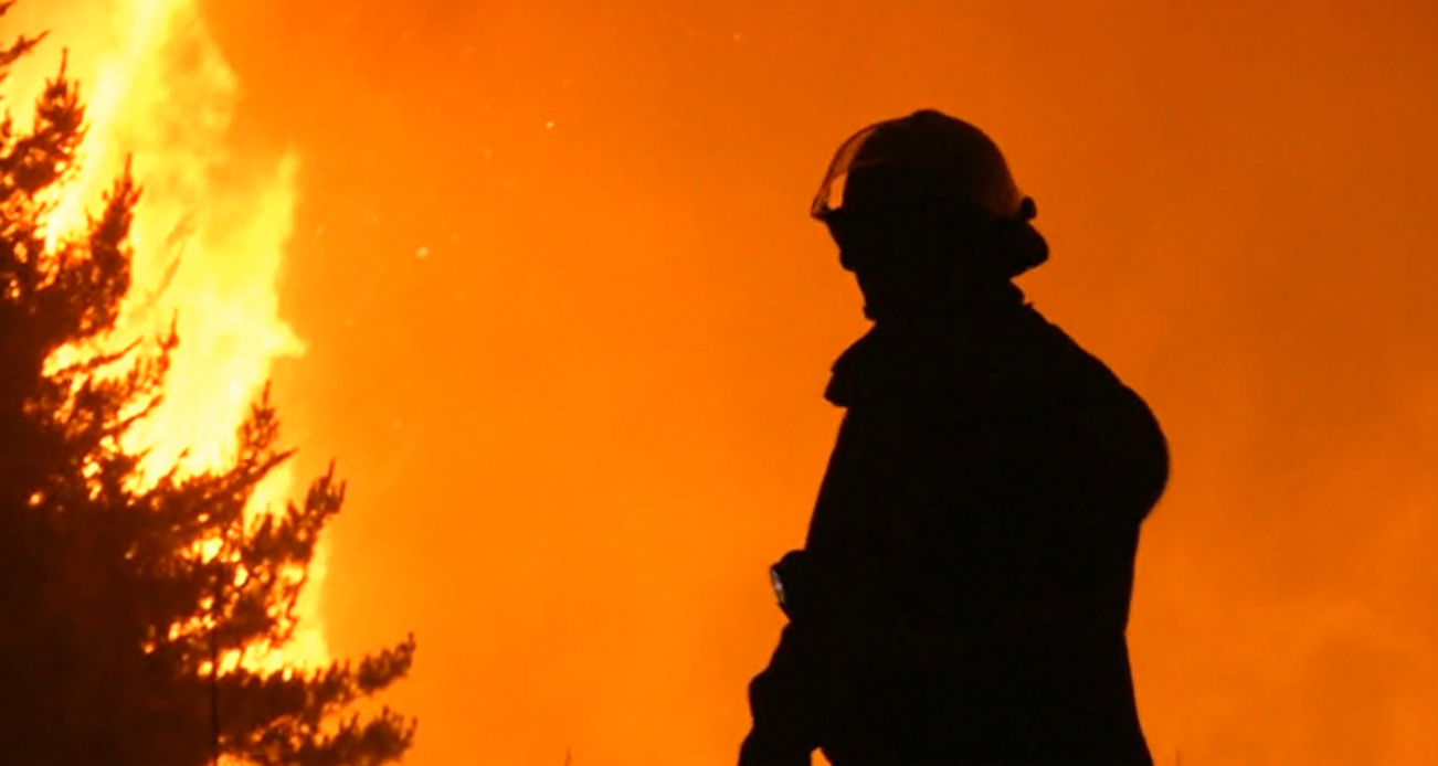 Combatientes de incendios: héroes que trabajan en favor del medio ambiente.