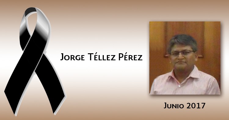 Ing.  Jorge Téllez Pérez