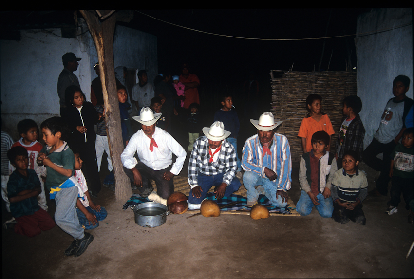 Etnografía del pueblo mayo de Sinaloa y Sonora (yoremes).