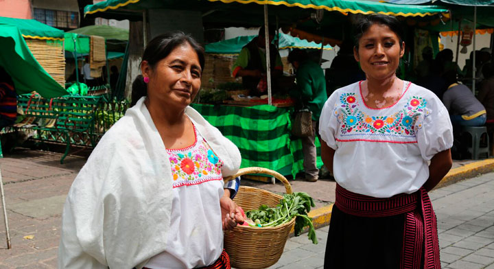 Mercado de productos orgánicos en Tlaxcala