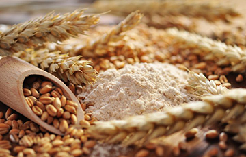 El trigo como grano básico y su importancia a nivel mundial • Red Forbes •  Forbes México