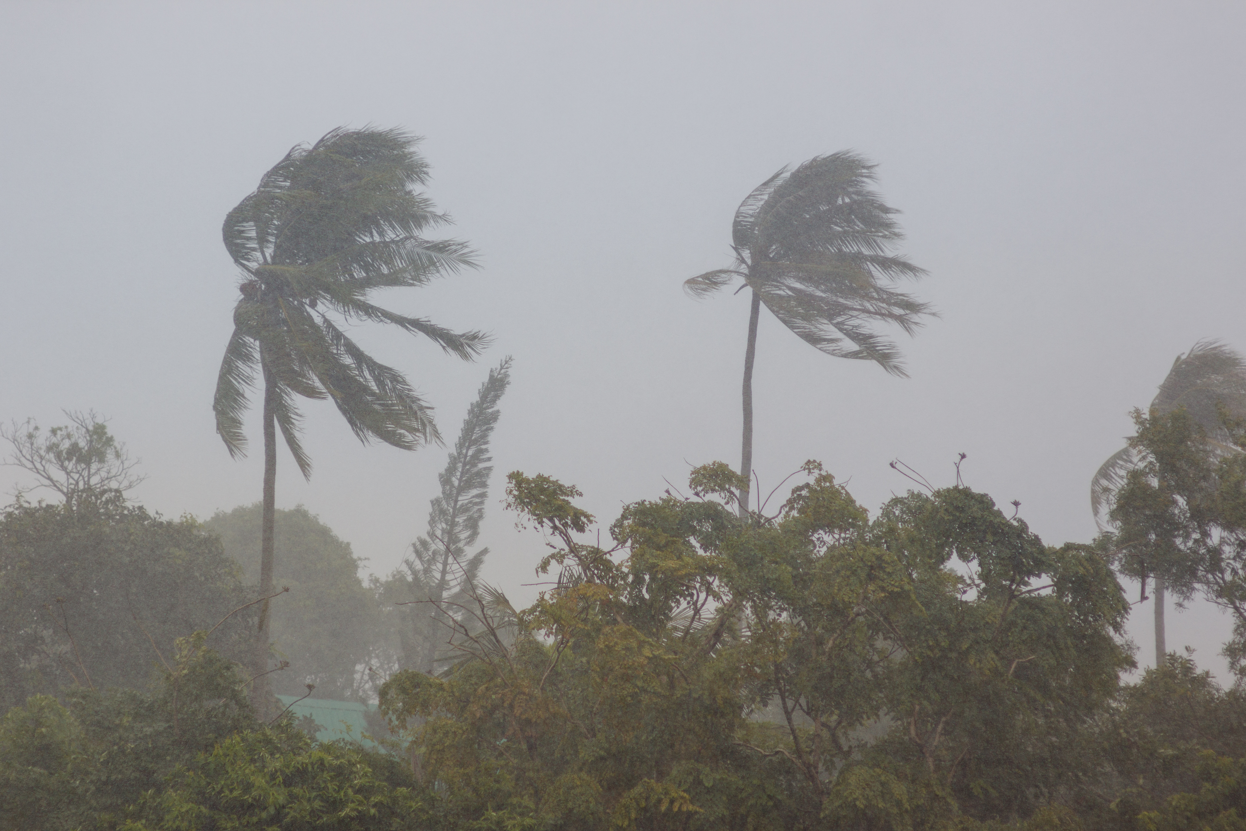 Se incrementará el número de ciclones tropicales en lo que resta de la actual temporada.
