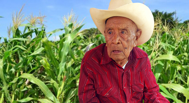 Rosario Hernández, ejidatario de 100 años, realiza su testamento agrario atendido por personal de la Delegación del Registro Agrario Nacional en el estado de Chihuahua.
