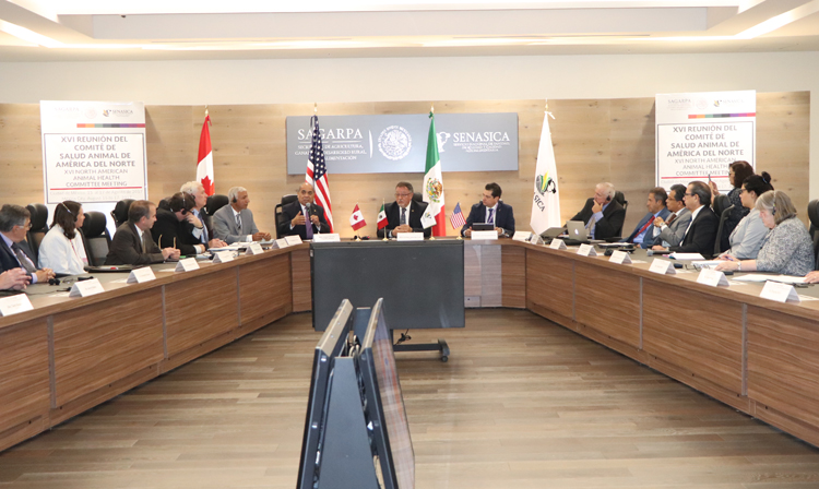 Las representantes de los servicios veterinarios de México, Canadá y los Estados Unidos de América (EUA) ratificaron su compromiso de continuar con acciones coordinadas para mantener el estatus sanitario de la región 