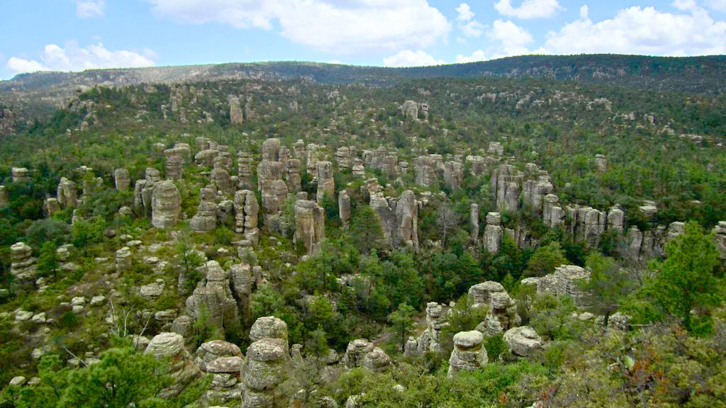 Este ecosistema transcurre en una zona de transición entre la Sierra Madre Occidental y sierras y valles del Desierto Chihuahuense.