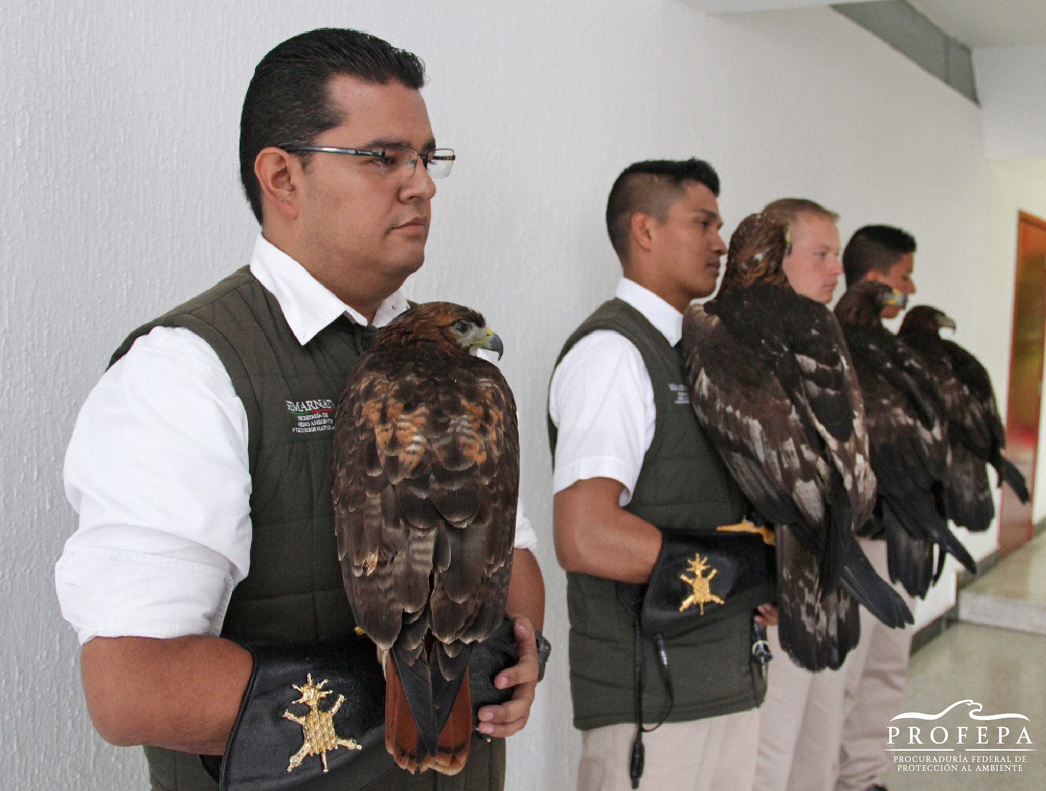 El Centro Nacional de Control y Protección del Águila Real en el H. Colegio Militar será uno de los principales recintos para la conservación del águila real, símbolo patrio y de identidad de todos los mexicanos.
