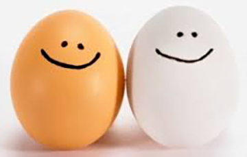 Huevo blanco o huevo rojo: ¿el color importa?