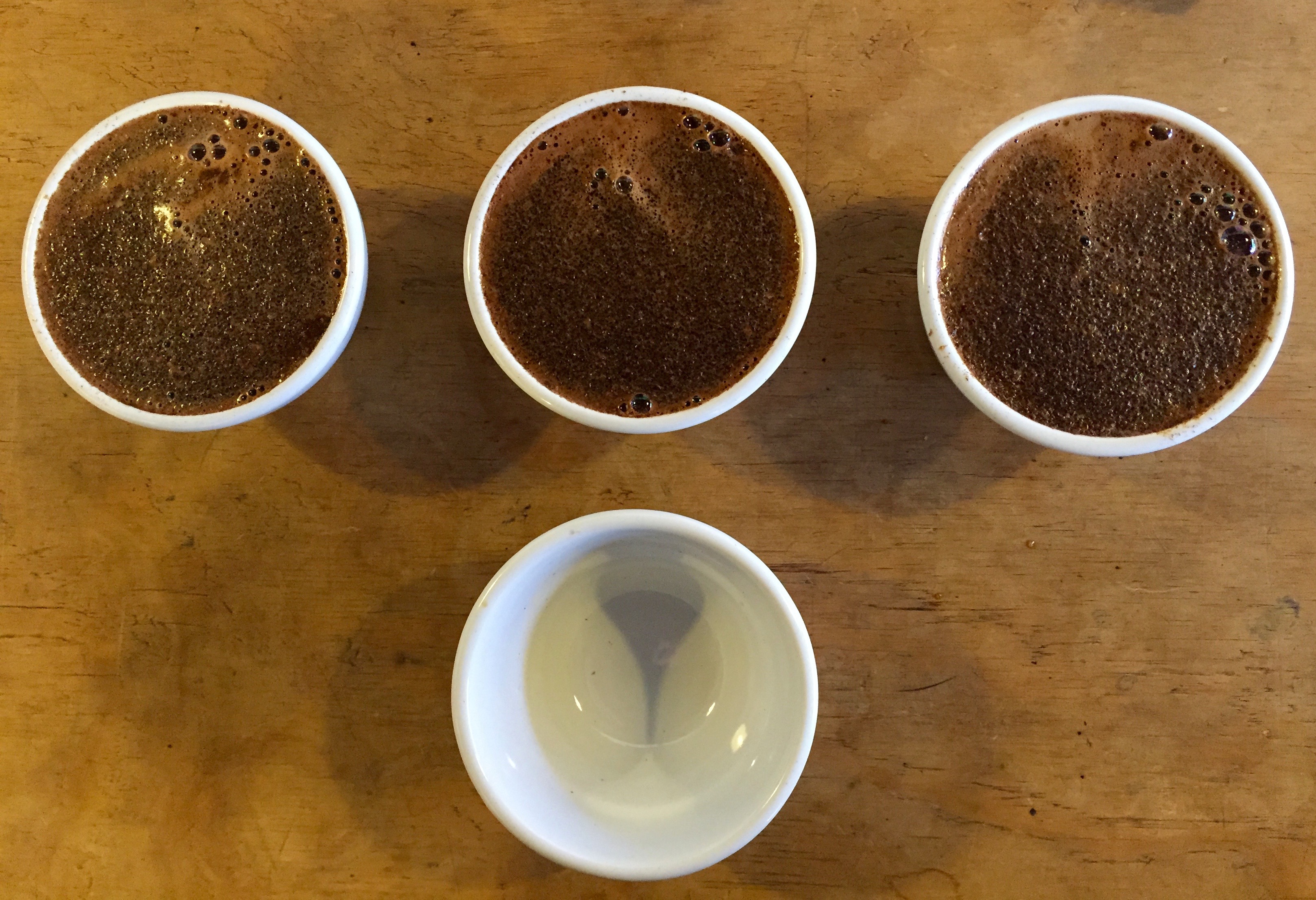 Beneficios del café y su proceso de cata 