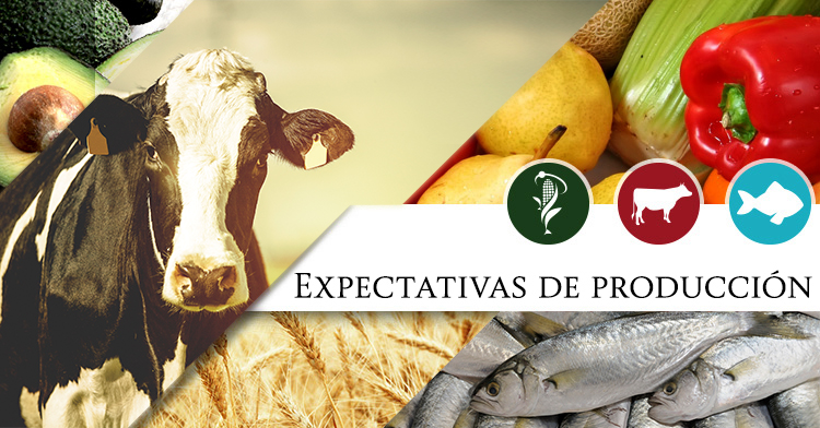 Expectativas de producción Agropecuaria y Pesquera