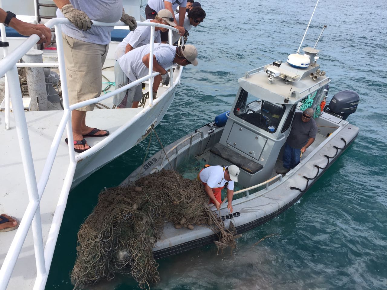 El propósito es retirar artes de pesca que pudieran estar perdidas en aguas marinas del Alto Golfo de California, amenazando la vida de especies pesqueras.