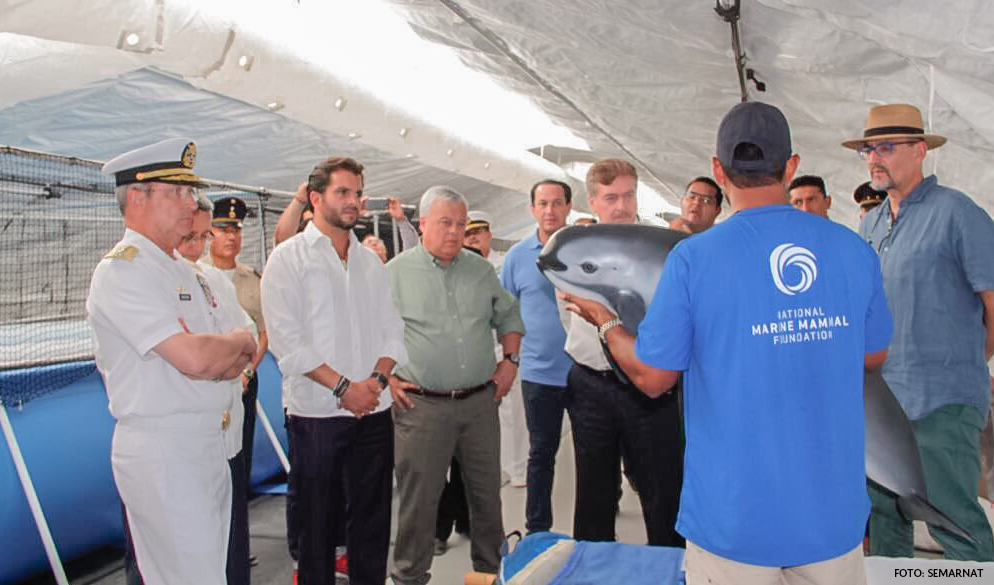 Este proyecto forma parte de las acciones interinstitucionales de protección a la vaquita marina, instruidas por el presidente de la República, Enrique Peña Nieto.