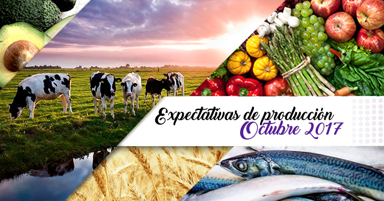 Expectativas de producción agropecuaria y pesquera: diferentes aspectos que destacan el sector de México