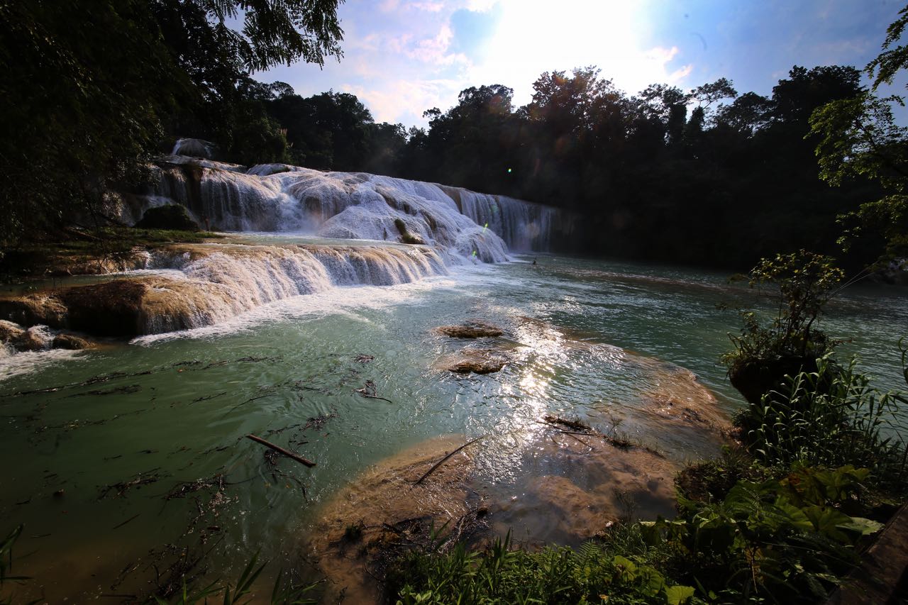 Los ríos Agua Azul (Yax-Ha, en tzeltal), Shumuljá y Tulijá forman impresionantes cascadas. 