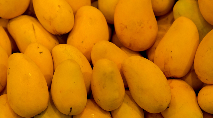 En el caso de Guerrero, el reconocimiento como zona libre de la plaga, impacta en  40.25 hectáreas con una producción de 604 toneladas de mango