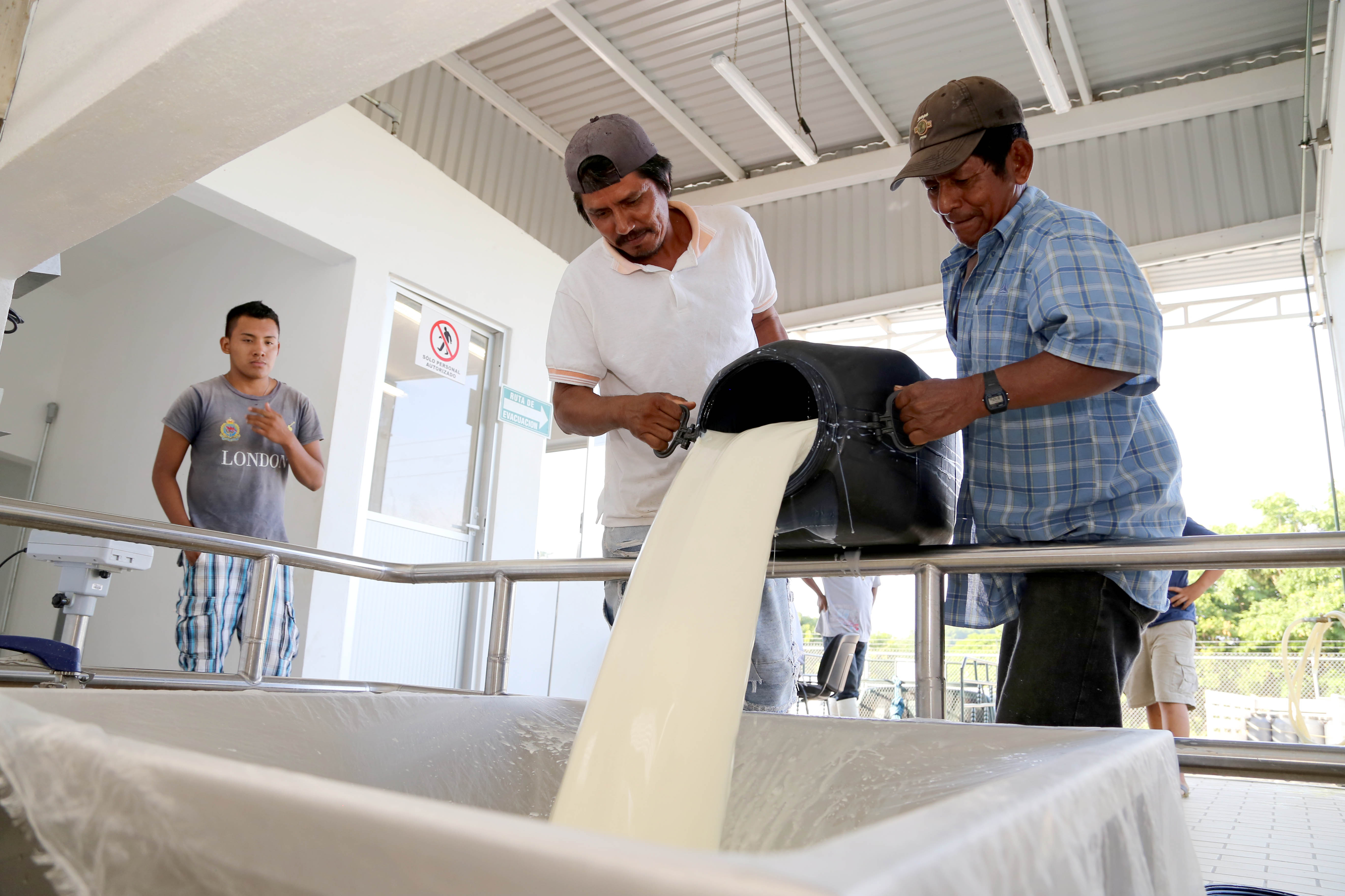 Este año Liconsa ha comprado casi 8 millones
de litros de leche a productores oaxaqueños