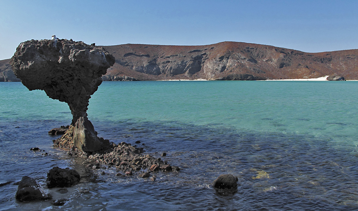 En esta categoría se encuentra Balandra, localizada en el municipio de La Paz, Baja California Sur. Representa un humedal costero rodeado de desierto sarcocaule.