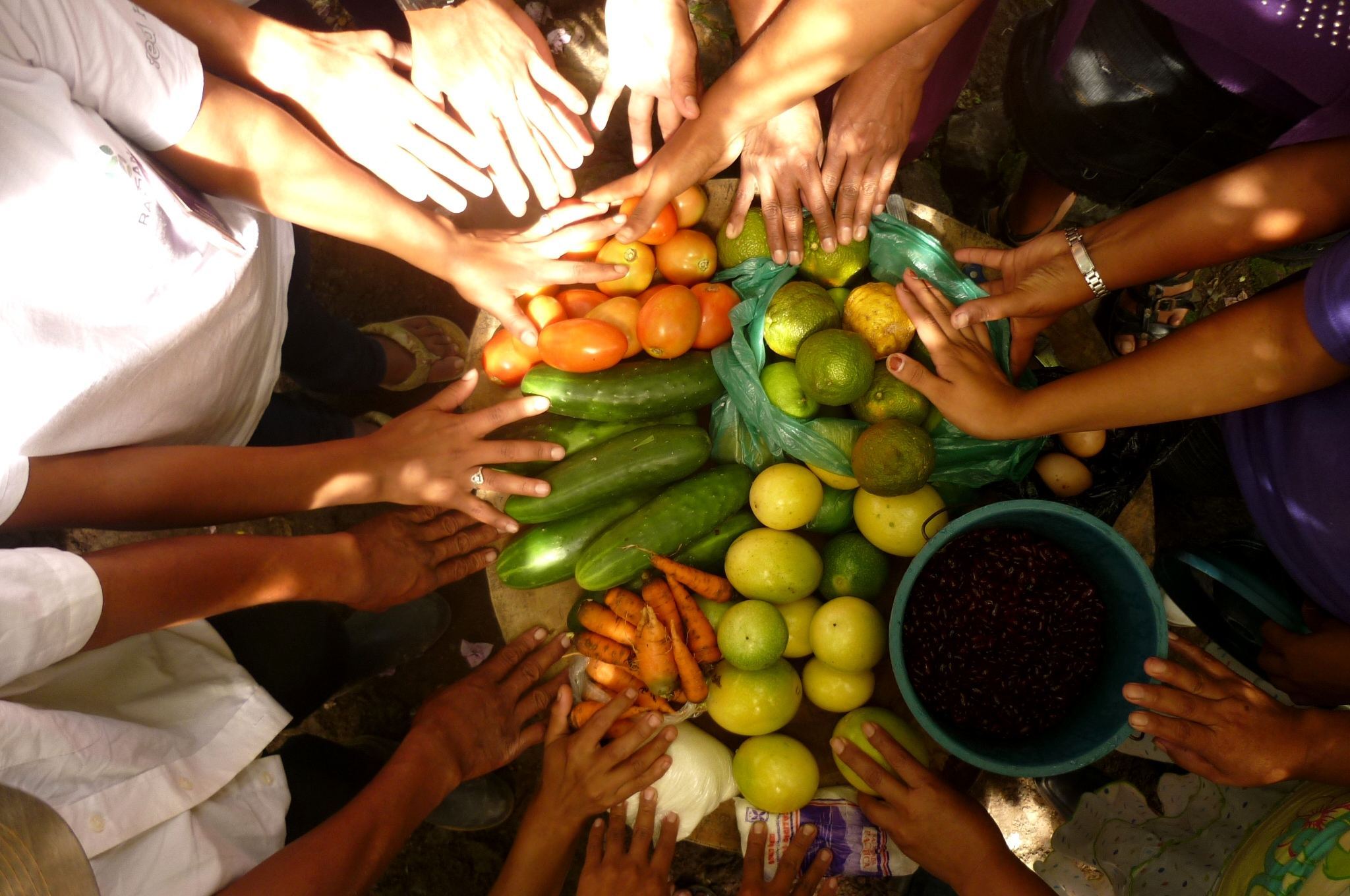 Seguridad Alimentaria y Nutricional | Fideicomiso de Riesgo Compartido |  Gobierno | gob.mx