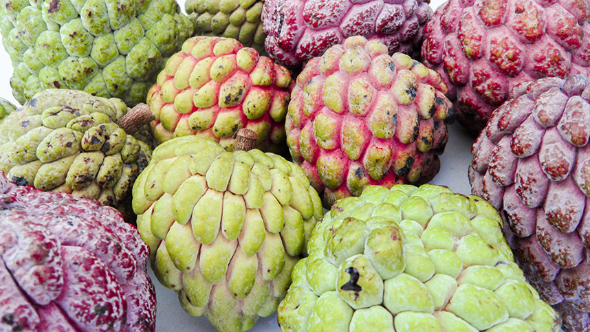 El saramuyo: Fruto con propiedades anticancerígenas