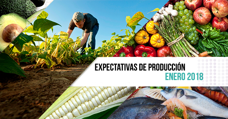 Expectativas de producción agropecuaria y pesquera: avanzando a paso firme