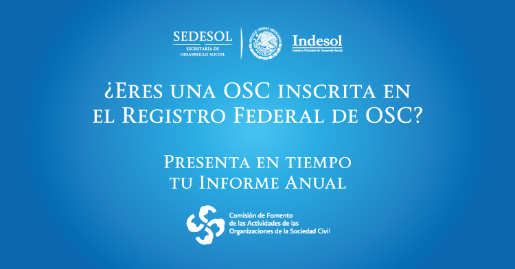 Informe Anual 2017 OSC