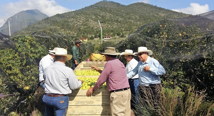 Apertura de Ventanillas PROAGRO PRODUCTIVO | Representación AGRICULTURA  Coahuila | Gobierno 