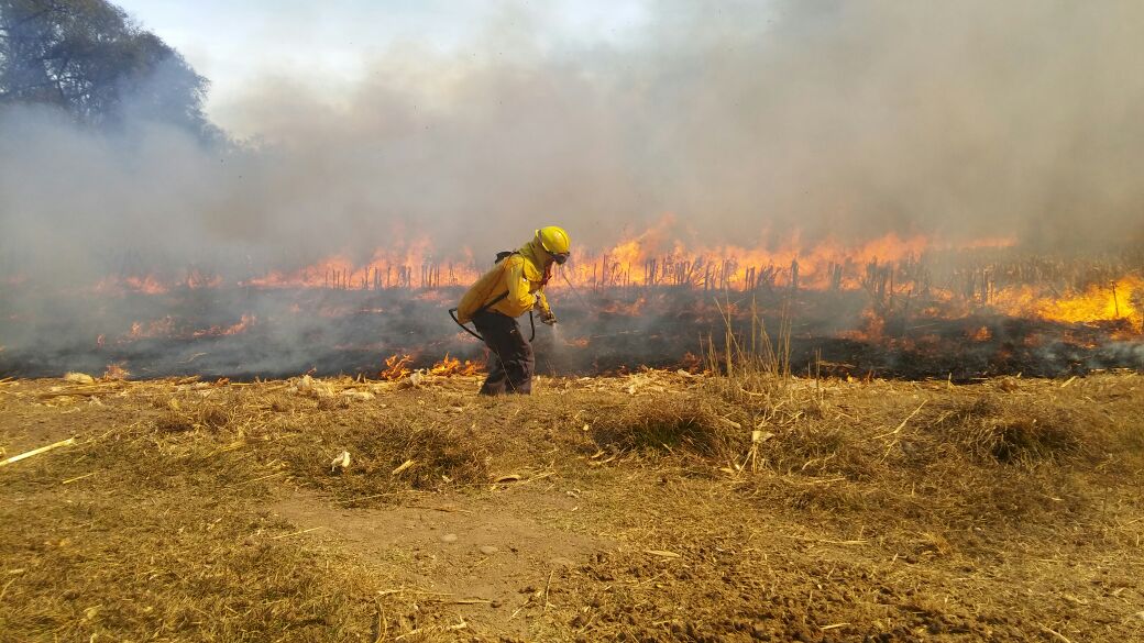 Incendio forestal: fuego descontrolado que destruye | Comisión Nacional  Forestal | Gobierno | gob.mx