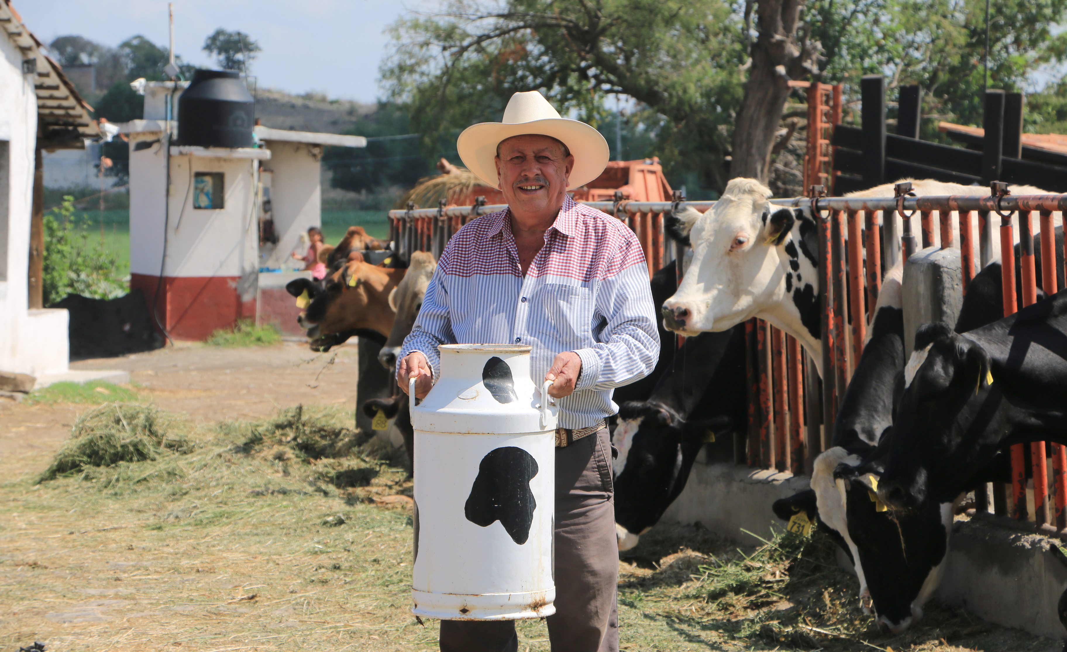 En 2017, Liconsa compró 500 millones de litros de leche a productores mexicanos