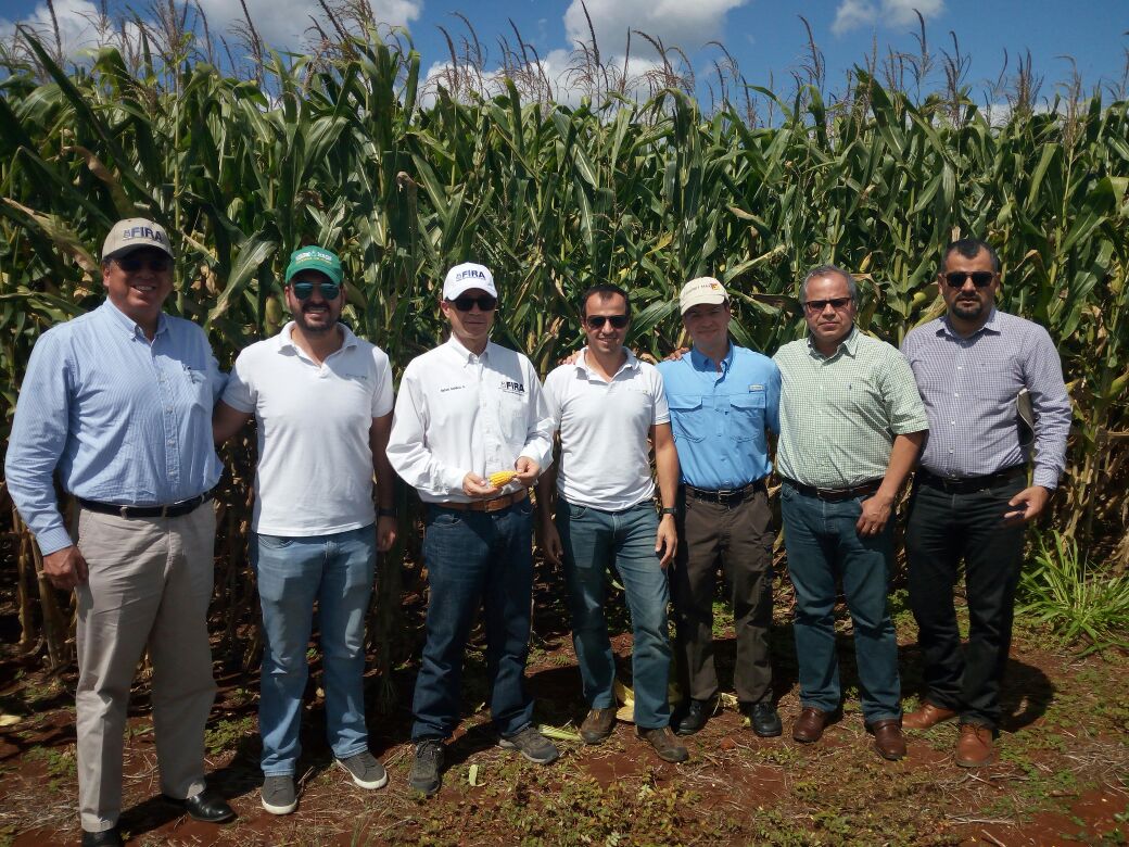 FIRA Impulsa el crecimiento de la superficie agrícola en el Oriente de Yucatán.