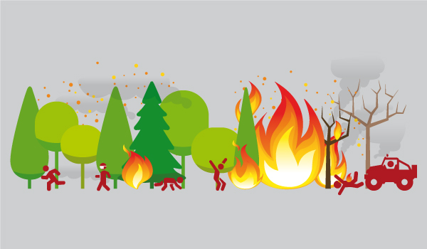 Imagen de incendios forestal tomada de la infografía.