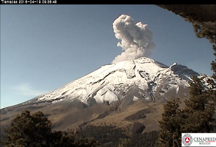 En las últimas 24 horas, por medio de los sistemas de monitoreo del volcán Popocatépetl, se identificaron 95 exhalaciones. Se registraron cuatro minutos de tremor de alta frecuencia y tres explosiones, hoy a las 00:31, 06:49, y 09:38 horas respectivamente