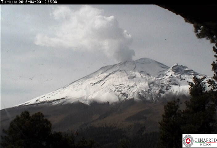 En las últimas 24 horas, por medio de los sistemas de monitoreo del volcán Popocatépetl, se identificaron 106 exhalaciones de baja intensidad acompañadas de vapor de agua, gas y ligeras cantidades de ceniza. Se presentaron 7 explosiones, 2 VTs.