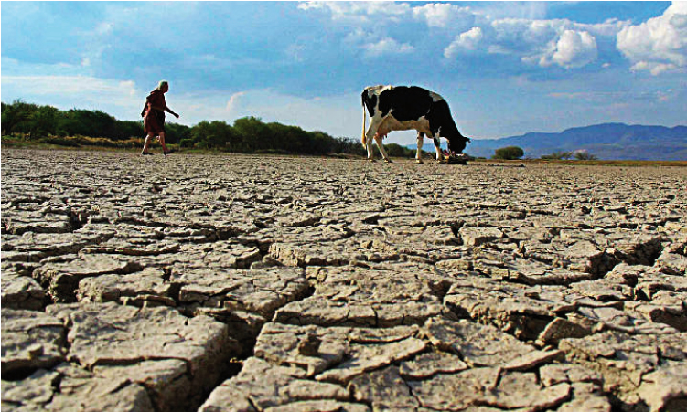 Imagen de sequía en el norte del país. 