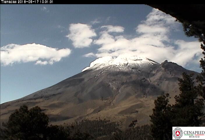 En las últimas 24 horas, por medio de los sistemas de monitoreo del volcán Popocatépetl, se identificaron 99 exhalaciones de baja intensidad acompañadas de vapor de agua y gas.