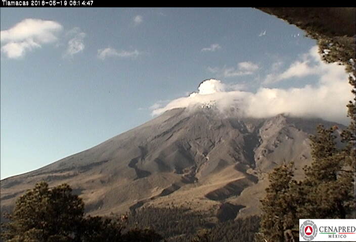 En las últimas 24 horas, por medio de los sistemas de monitoreo del volcán Popocatépetl, se identificaron 63 exhalaciones de baja intensidad acompañadas de vapor de agua y gas. El día de hoy se registraron dos sismos VT's.