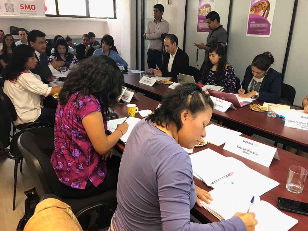 5a reunión del Grupo de Trabajo para atender la Solicitud de Alerta de Violencia de Género contra las Mujeres en Oaxaca