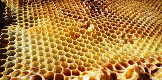 La cera de abeja está donde no te lo imaginas