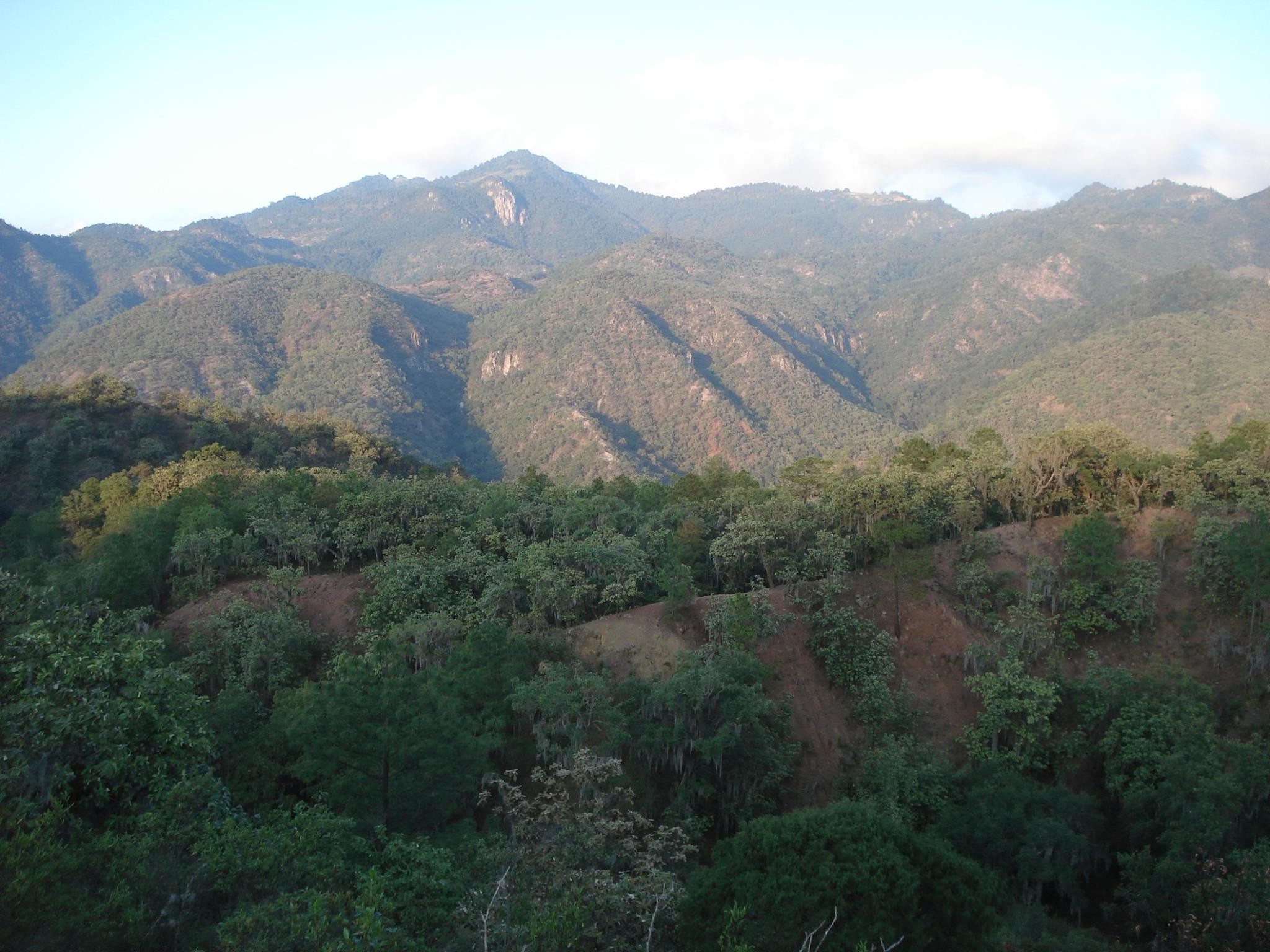 Con dos mil hectáreas de superficie total, esta área incluye bosques de pino y encino que protegen un número importante de manantiales.