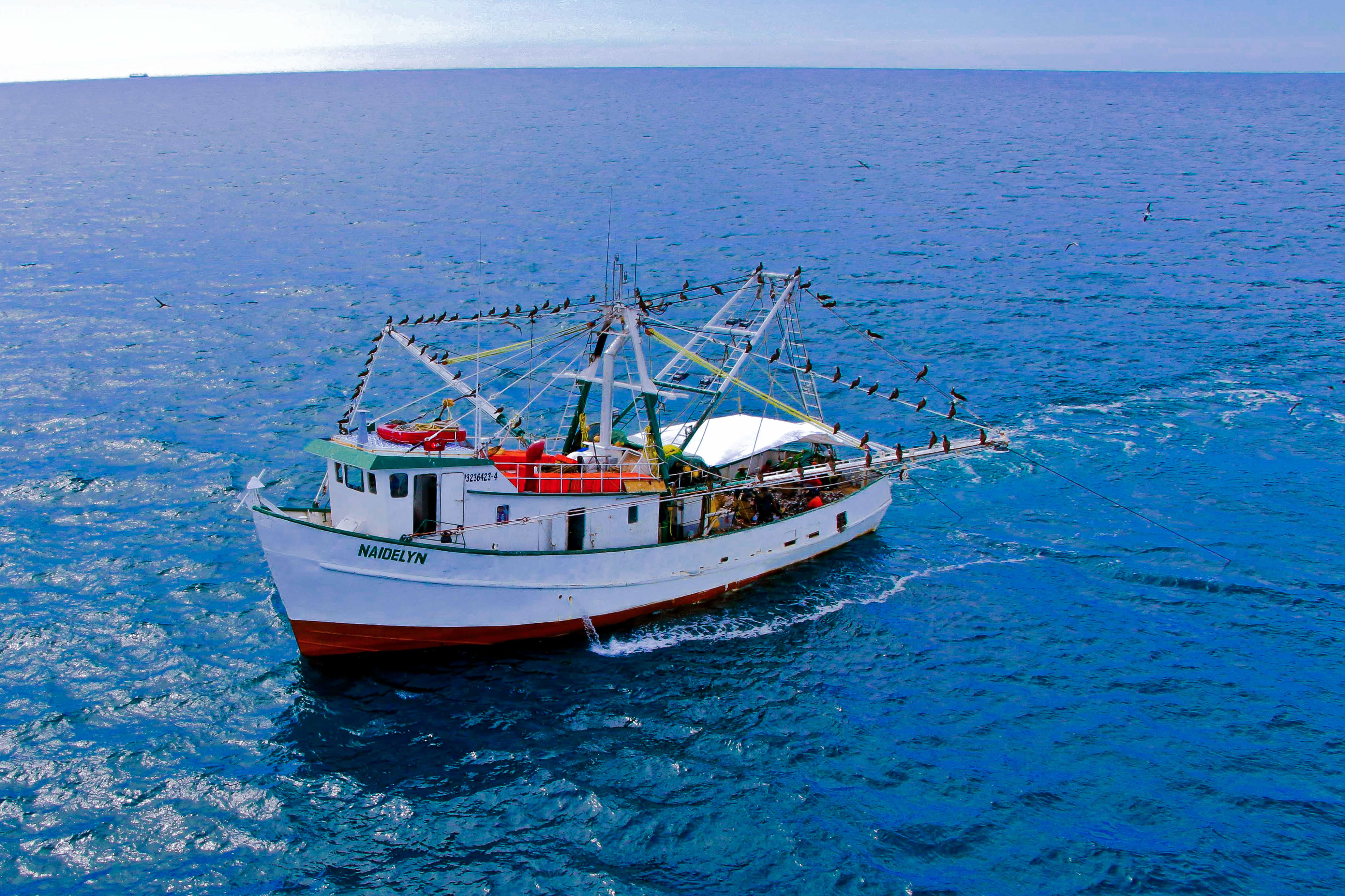 El 5 de junio se adoptó como el Día Internacional de la Lucha Contra la Pesca Ilegal, no Declarada y no Reglamentada, que entró en vigor como tratado internacional destinado a poner fin a la pesca furtiva.