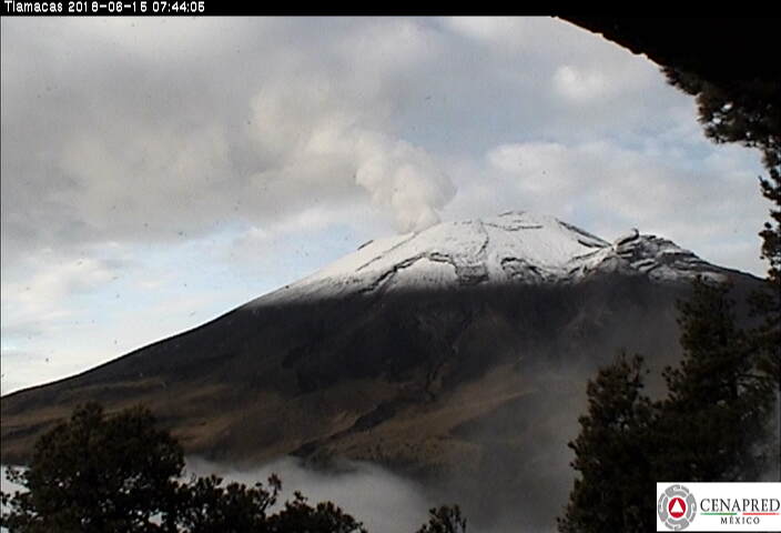 En las últimas 24 horas, por medio de los sistemas de monitoreo del volcán Popocatépetl, se identificaron 84 exhalaciones de baja intensidad, posiblemente acompañadas de vapor de agua y gas.