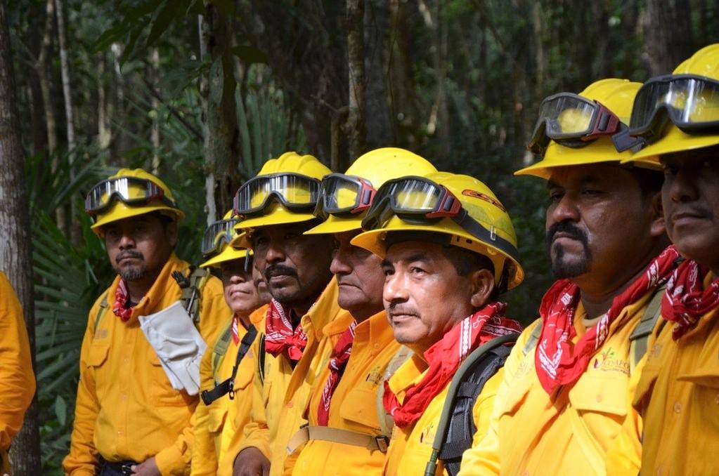 Grupo de combatientes de incendios forestales recibiendo instrucciones.